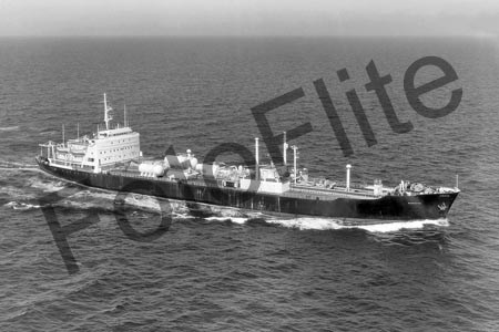 BW711561.jpg