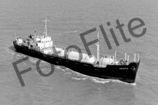 BW712002.jpg