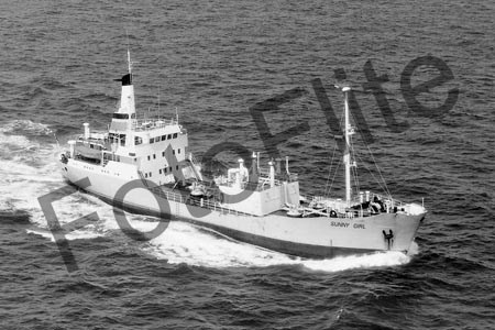 BW712396.jpg