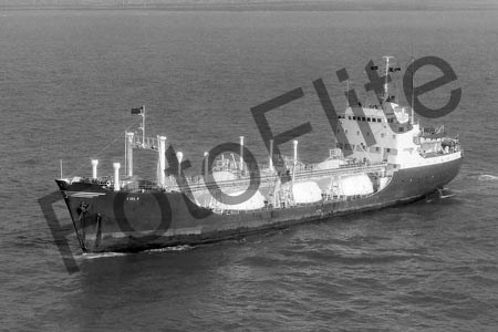 BW716014.jpg