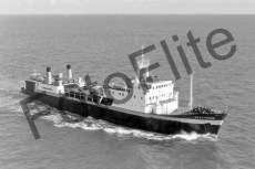 BW716215.jpg