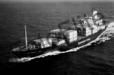 BW717100.jpg