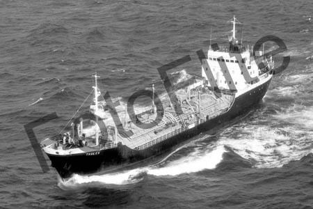 BW717207.jpg