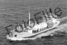 BW717338.jpg