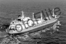 BW717634.jpg