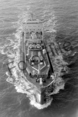 BW717636.jpg