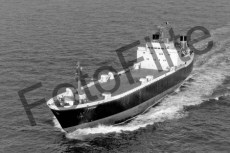 BW720201.jpg