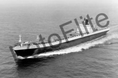 BW721350.jpg