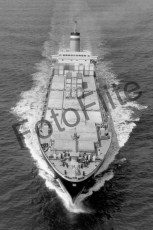 BW722955.jpg