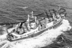BW723620.jpg