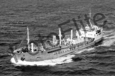 BW725309.jpg