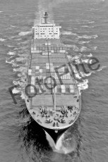 BW725516.jpg