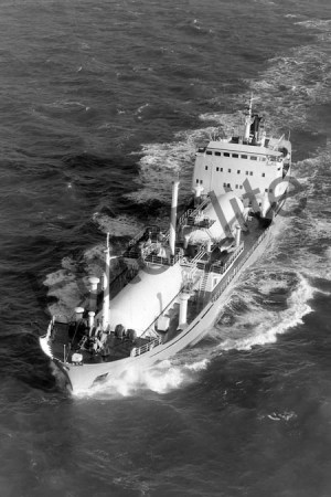 BW727146.jpg