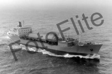 BW730095.jpg