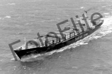 BW730477.jpg