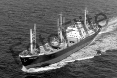 BW730557.jpg