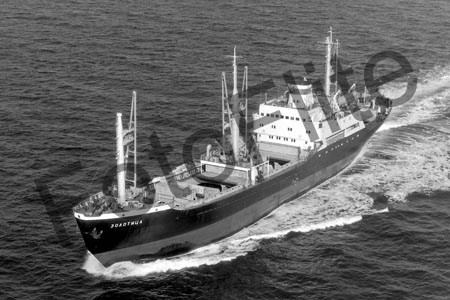 BW730557.jpg