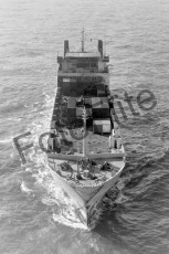 BW730581.jpg