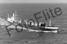 BW730703.jpg