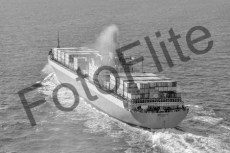 BW730862.jpg