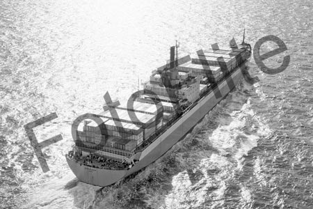 BW730868.jpg