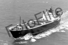 BW730893.jpg