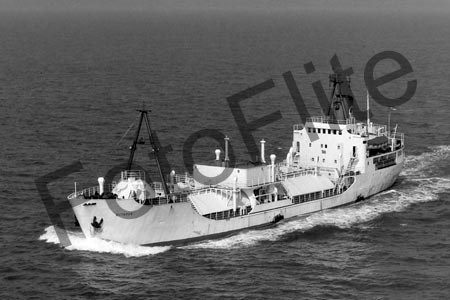BW730962.jpg