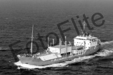 BW731042.jpg
