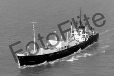 BW731132.jpg