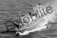 BW731165.jpg