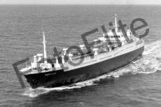 BW731200.jpg