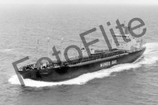 BW731816.jpg