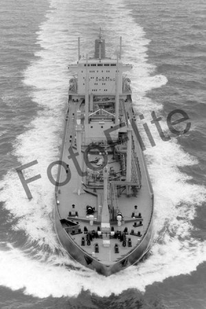 BW731817.jpg