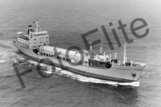 BW731859.jpg