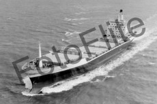 BW731996.jpg