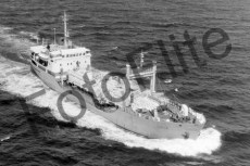 BW732817.jpg