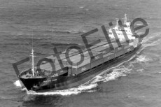 BW733125.jpg