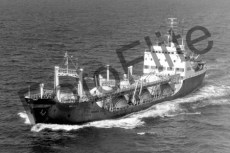 BW733203.jpg