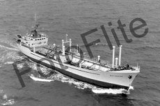 BW733422.jpg