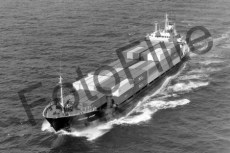 BW733702.jpg