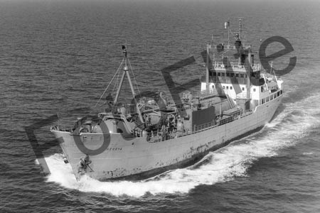 BW733743.jpg