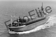 BW733753.jpg