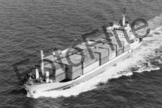 BW733835.jpg