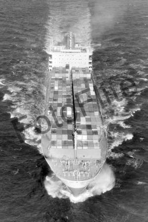 BW734501.jpg