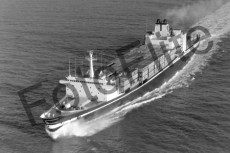 BW735612.jpg