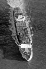 BW735618.jpg