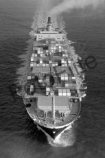 BW735629.jpg