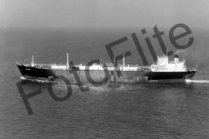 BW740011.jpg
