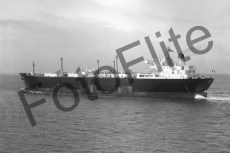BW740014.jpg