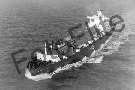BW740313.jpg